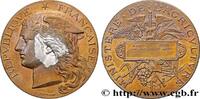 FRANKREICH Médaille, Concours général agricole AGRICULTURE 75 - Paris 1893 (50,5mm, 53,47g, 12h) -