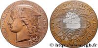 FRANKREICH Médaille, Concours général agricole AGRICULTURE 75 - Paris 1893 (50,5mm, 53,34g, 12h) -