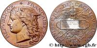 FRANKREICH Médaille, Concours régional agricole AGRICULTURE 45 - Orléans 1894 (51mm, 59,68g, 12h) -