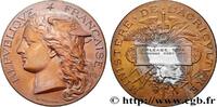 FRANKREICH Médaille, Concours régional agricole AGRICULTURE 45 - Orléans 1894 (51mm, 59,43g, 12h) -