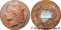 FRANKREICH Médaille, Concours régional agricole AGRICULTURE 45 - Orléans 1894 (51mm, 59,38g, 12h) -