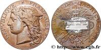 FRANKREICH Médaille, Concours régional agricole AGRICULTURE 51 - Reims 1895 (50mm, 57,89g, 12h) -