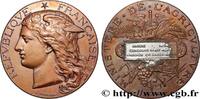 FRANKREICH Médaille, Concours régional d’agriculture, animaux AGRICULTURE 80 - Amiens 1890 (50mm, 56,20g, 12h) -