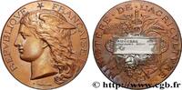 FRANKREICH Médaille, Concours régional agricole AGRICULTURE 89 - Auxerre 1893 (51mm, 60,12g, 12h) -