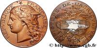 FRANKREICH Médaille, Concours régional agricole AGRICULTURE 89 - Auxerre 1893 (50,5mm, 60,09g, 12h) -