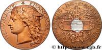 FRANKREICH Médaille, Concours régional agricole AGRICULTURE 89 - Auxerre 1893 (50,5mm, 59,66g, 12h) -