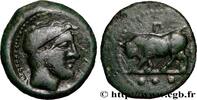 Classic 1 (480 BC to 400 BC) Trias SIZILIEN - GELA Géla, Sicile c. 420-405 AC. (18,5mm, 3,10g, 6h) -