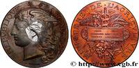 FRANKREICH Médaille, Concours général agricole, vaches laitiè AGRICULTURE 75 - Paris 1888 (51mm, 56,35g, 12h) -