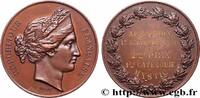 FRANKREICH Médaille, Régates d’Arcachon NAUTISME - SPORT ET PLAISANCE 33 - Arcachon 1876 (41mm, 34,06g, 12h) -
