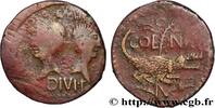THE JULIO-CLAUDIANS (27 BC to 69 AD) Dupondius COL NEM (as) NEMAUSUS - NIMES - AUGUSTUS und AGRIPPA Nîmes c. 16/15 - 10 AC. (27mm, 9,93g, 2h) -