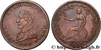 VEREINIGTEN KÖNIGREICH (TOKENS) 1/2 Penny Wellington VEREINIGTEN KÖNIGREICH (TOKENS) 1814 (27mm, 6,06g, 6h) -