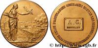 FRANKREICH Médaille, Compagnie belge d’assurances générales c ASSURANCES n.d. (54,5mm, 67,33g, 12h) -