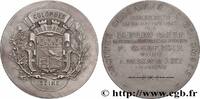 FRANKREICH Médaille, Groupes scolaires de Colombes ÉDUCATION : LYCÉES, ÉCOLES 92 - Colombe 1905 (50mm, 60,32g, 12h) -