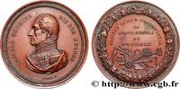 FRANKREICH Médaille, Société royale d’agriculture et d’hortic SOCIÉTÉS D'AGRICULTURE, HORTICULTURE, PÊCHE ET CHASSE Belgique, Tournay n.d. (45,5mm, 34,79g, 12h) -