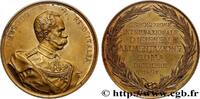 FRANKREICH Médaille, Exposition International d’hygiène et d’ EXPOSITIONS Italie, Rome 1894 (55mm, 64,54g, 12h) -