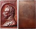 FRANKREICH Plaquette, Victor Deneffe MÉDECINE - SOCIÉTÉS MÉDICALES - MÉDECINS/CHIRURGIENS - ASSISTANCE PUBLIQUE 1905 (67,5mm, 64,38g, 12h) -