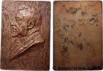 FRANKREICH Plaquette, Fulgence Masson POLITIQUE ET POLITICIENS 1910 (55,5mm, 33,81g, 12h) -