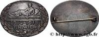 FRANKREICH Insigne, Hôpital de l’Université technique PREMIÈRE GUERRE - WWI Autriche, Vienne 1915 (34,5mm, 20,96g, 12h) -