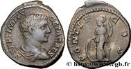 THE SEVERANS (193 AD to 235 AD) Denier GETA 207 (19,5mm, 3,41g, 12h )
