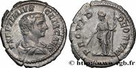 THE SEVERANS (193 AD to 235 AD) Denier GETA 206 (21mm, 3,32g, 6h )