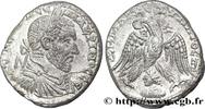 THE SEVERANS (193 AD to 235 AD) Tétradrachme syro-phénicien MACRINUS 217-218 (27mm, 14,16g, 12h )