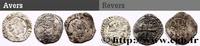 Lot de 3 liards au dauphin CHARLES VIII n.d. (17mm, g, 12h )