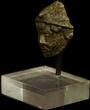 Gallo-roman Bronze: Head Of The God Attis Or Mithra