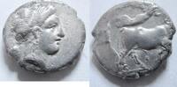 Griechenland Didrachme Didrachme von Neapolis in Kampanien Rs. androkephaler Stier n. rechts -