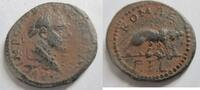 Seleucis und Pieria Ae-30 (Großbronze) Seleucis AE-29 Macrinus Laodicea Vs: Kaiserbüste Rs: Wölfin mit Zwillingen -