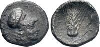 Greek - Lucania AR Diobol c. 325-275 BC - Metapontion - VF 75,00 EUR  zzgl. 8,00 EUR Versand