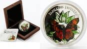 Cameroon 1000 francs Cameroon 1000 francs Charaxes Fournierae Butterfly colored silver coin 2011 -