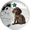Fiji 2 dollars Fiji 2 dollars My Great Protector Weimraner Dog colored silver coin 2013 -