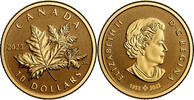 Canada 10$ Canada 2023 10$ Everlasting Maple Leaf 1/20 oz Pure Gold Coin
