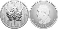 Canada 20$ 2024 MAPLE LEAF Forest SML Ultra High Relief 1 oz Silver Coin  134,99 EUR kostenloser Versand