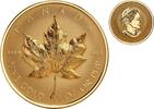 Canada 200$ 2022 MAPLE LEAF 1 oz High Relief Pure Gold Coin  4999,00 EUR kostenloser Versand