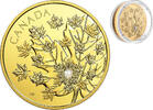 Canada 250$ 2018 The Magnificent MAPLE Canadian Diamond Pure Gold Coin  9999,00 EUR kostenloser Versand