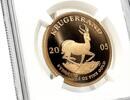 South Africa 2005 Treasures of Africa KRUGERRAND 1 oz Gold Coin NGC PF70  5499,00 EUR4999,00 EUR kostenloser Versand