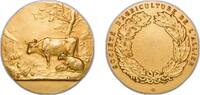 France France Republic ND Medal - Société D'agriculture De l'Allier Golded bronze 61.48g UNC -
