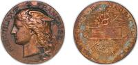 France France Third Republic 1886 Medal - Ministère de l’agriculture Bronze 59.52g XF -