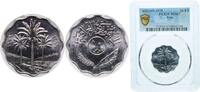 Iraq 10 Fils Iraq AH1399 - 1979 10 Fils Stainless steel (13800000) 5.75g PCGS MS67 Top Pop KM 126a Schön 32a Schön 32b -
