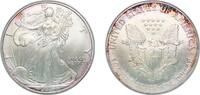 United States 1 Dollar United States Federal republic 2004 1 Dollar American Silver Eagle (Bullion Coin) Silver (.999) West Point Mint (8882754) 31.2 -