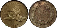 USA 1C CENT 1857 Fliegender Adler Cent NGC MS 64