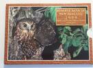 New Zealand Set 1999 Morepork gebürtiger Eulenmünzensatz. Preis wurde um... 82,00 EUR69,00 EUR  zzgl. 17,00 EUR Versand