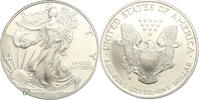 United States Dollar 1996P Silver Eagle Proof PP