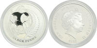 Dollar 2022 Womens Ruby team for New Zealand. PP