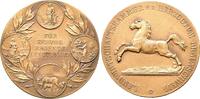 Braunschweig Stadt, Bronzemedaille Von Lauer, Leistungsprämie der Landwirtschaftskammer. In Etui. -