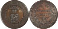 Belgium Historical medal 25-jähriges Jubiläum der in Brügge gegründeten Jägerkompanie -