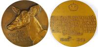 Belgium Historical medal 125-jähriges Jubiläum der Königlichen Zoologischen Gesellschaft von Antwerpen -