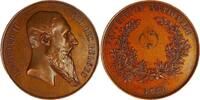 Belgium Historical medal Leopold II – König der Belgier / Nationale Ausstellung / Wiener -
