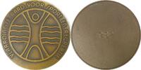 Netherlands / Vlaardingen Historical medal Rat für Sport und Freizeit -